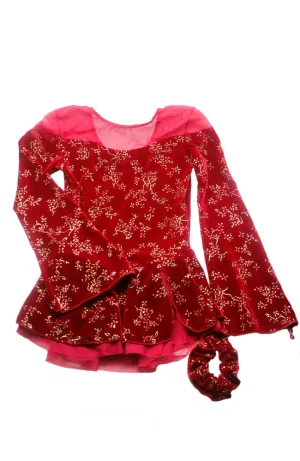 Adult Long Sleeve Skate Dress