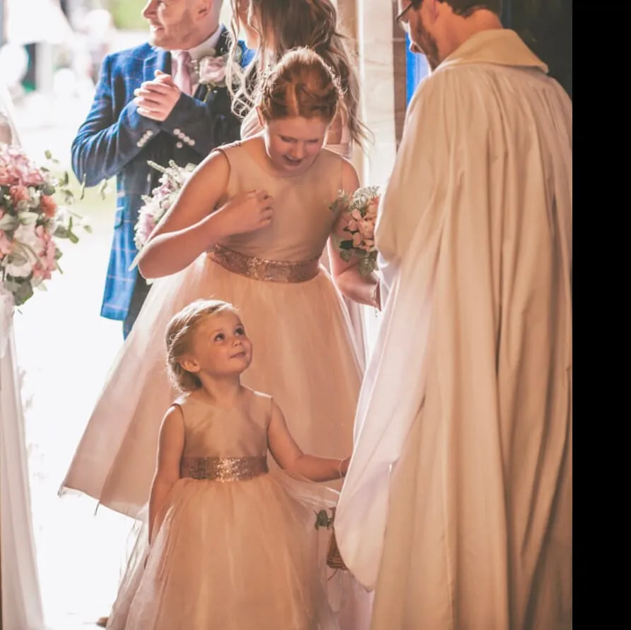 Baby Belle of the Ball Dress - Blush Shimmer