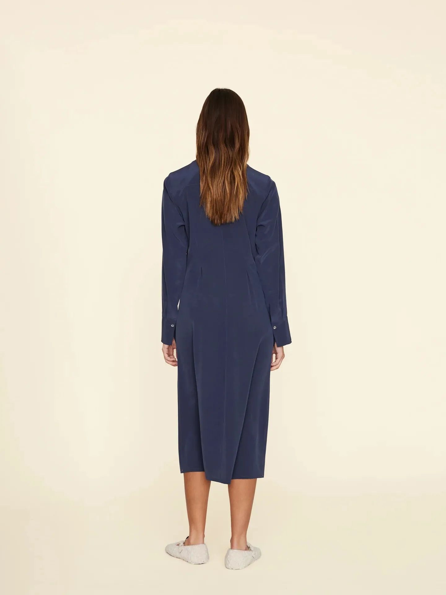Banks Silk Dress