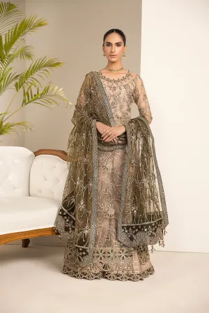 Blackish Embroidered Dusty Skin Pakistani Salwar Kameez with Dupatta