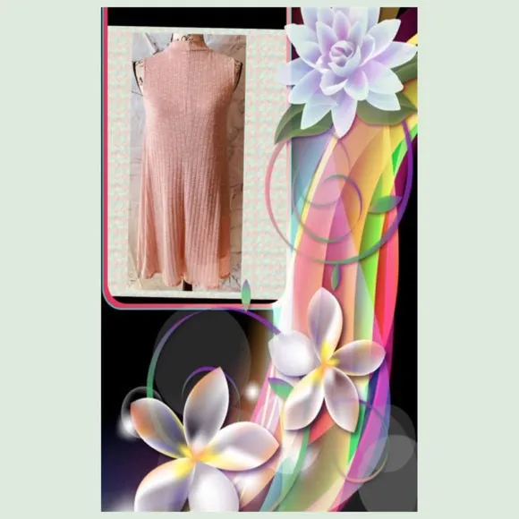 Brand New Blashe Dress