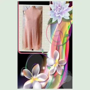 Brand New Blashe Dress