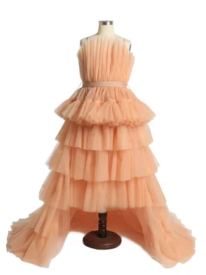 Cute Tulle Girl Dress for Photo Shoot Kids Party Ball Gown Flower Girl Dresses Children's Party Dress for Wedding