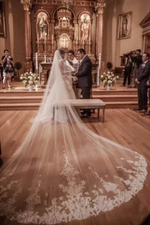 Fairy Tale Worthy One Layer Cathedral Length Lace Wedding Veil Comb APWV0004