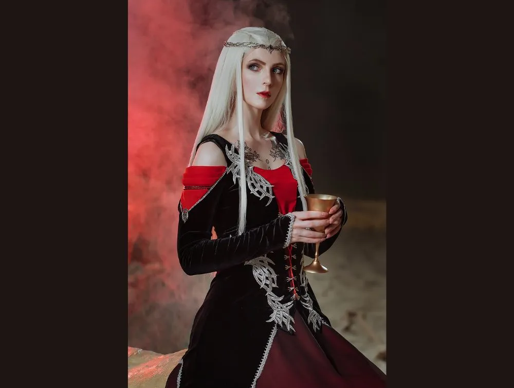 Gothic dragon style dress with ombre chiffon skirt