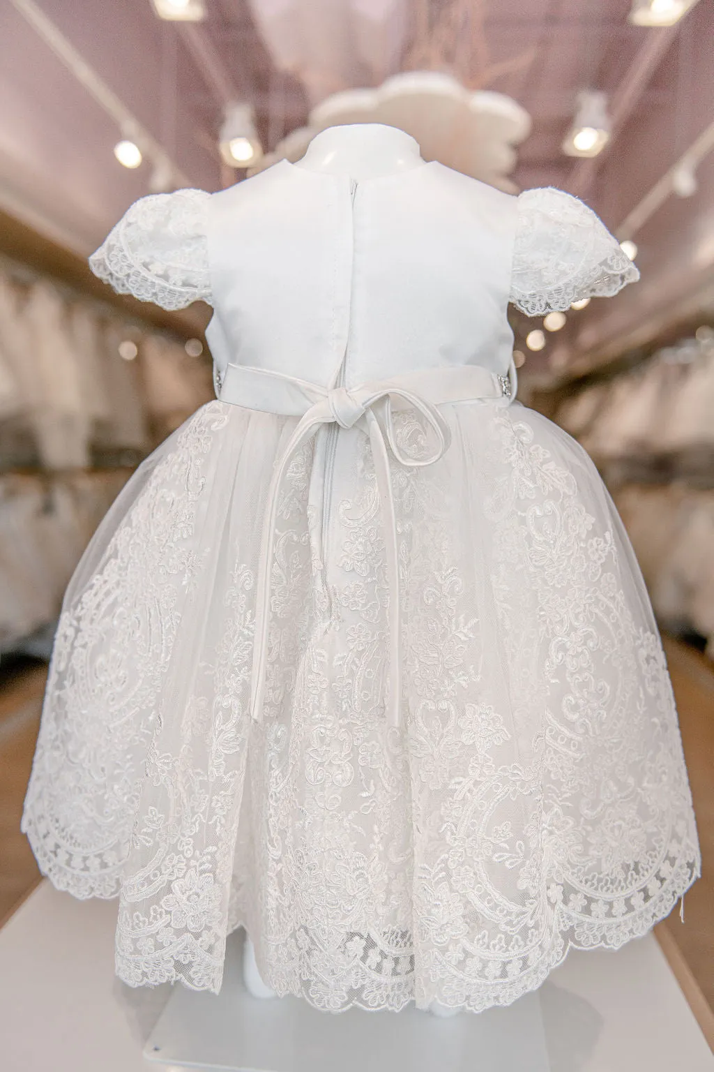 Lace Embroidered Dress 3915S