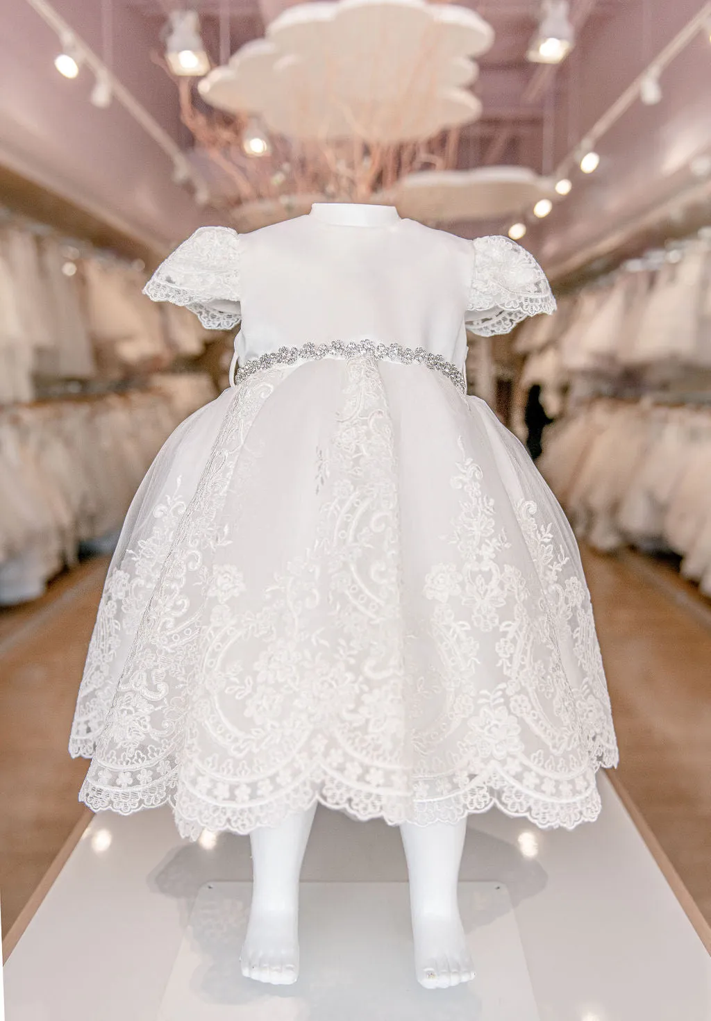 Lace Embroidered Dress 3915S