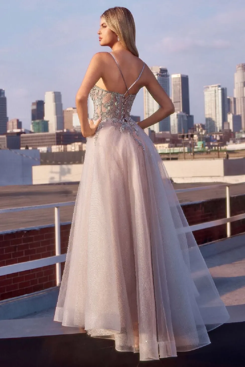 LaDivine by Cinderella Divine Evening Gown CC0881
