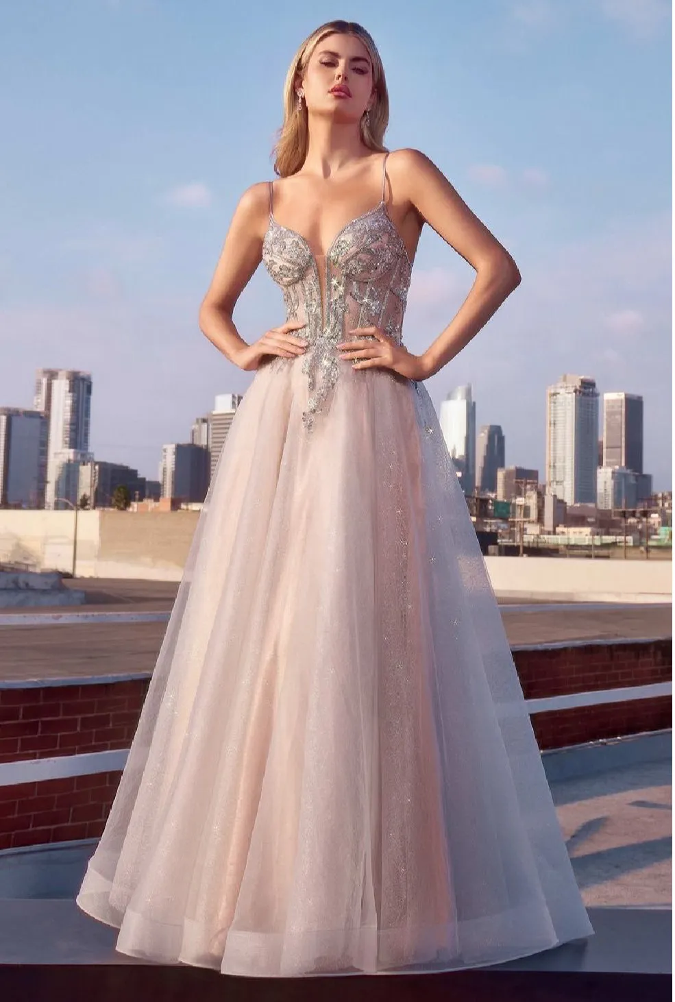LaDivine by Cinderella Divine Evening Gown CC0881