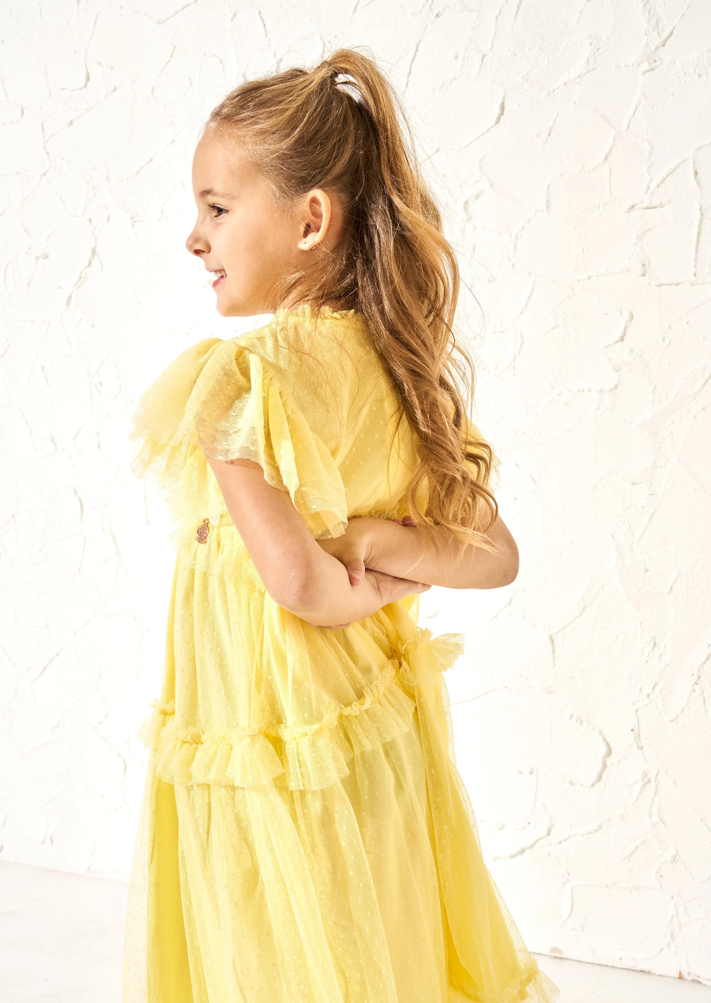 Luisa Yellow Embroidered Mesh Dress