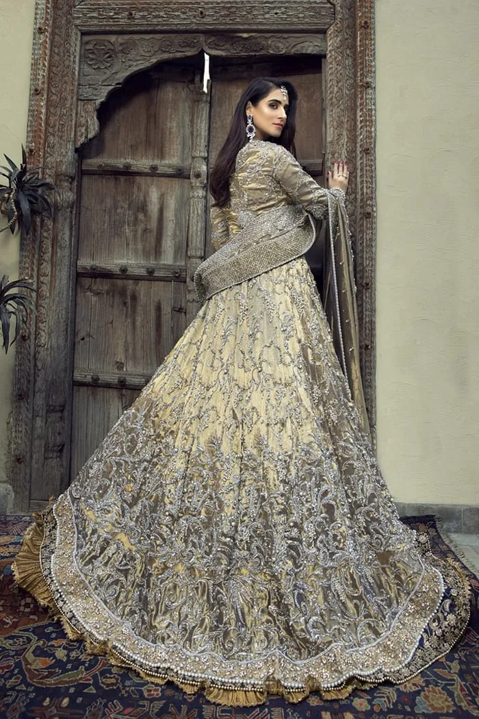 Pakistani Designer  Frock Lehnga Wear #N7221