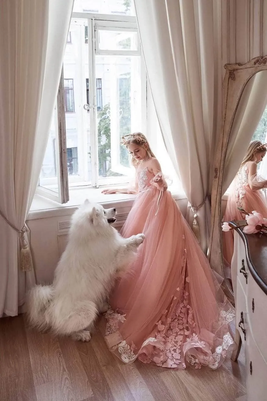 Pink Princess Dress Long Sleeves