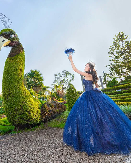 Royal Blue Quinceanera Dresses Ball Gown with Lace Appliques Sweetheart Sparkly Organza Sweet 16 Dress