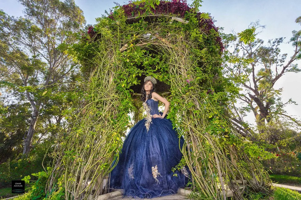 Royal Blue Quinceanera Dresses Ball Gown with Lace Appliques Sweetheart Sparkly Organza Sweet 16 Dress